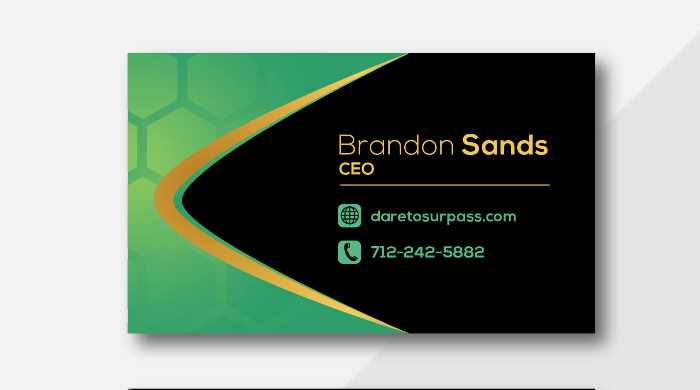 Create for you full branding stationery and designer business card
